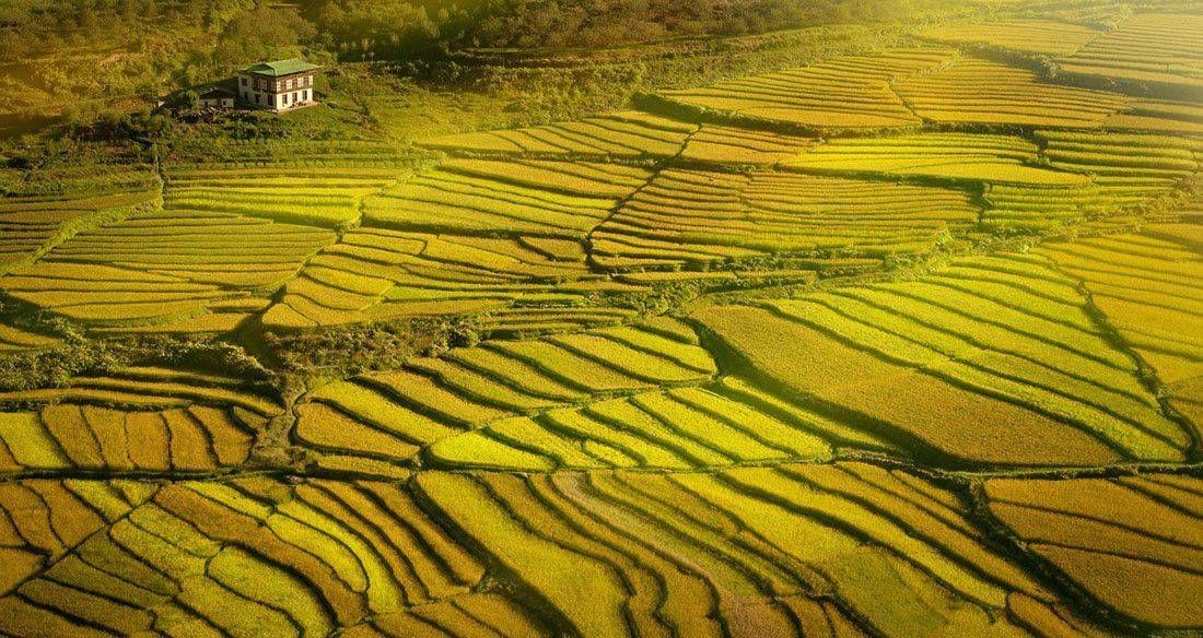 бутан, рисовые поля, Centurion