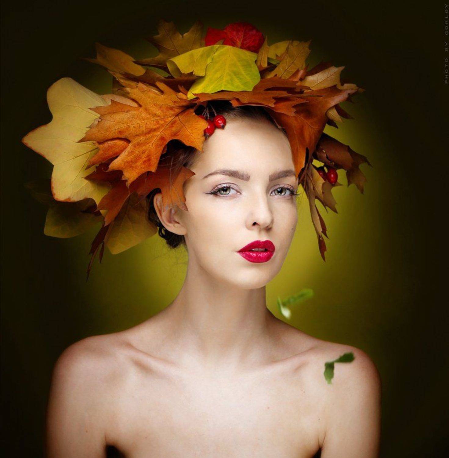 , Александр Горлов