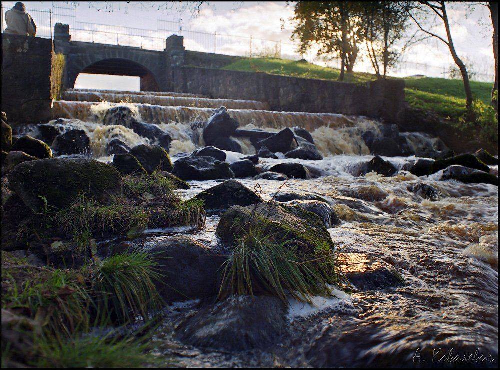 mamiya, 645, 1000s, , fuji, pro, 400h, Ковалевич А.