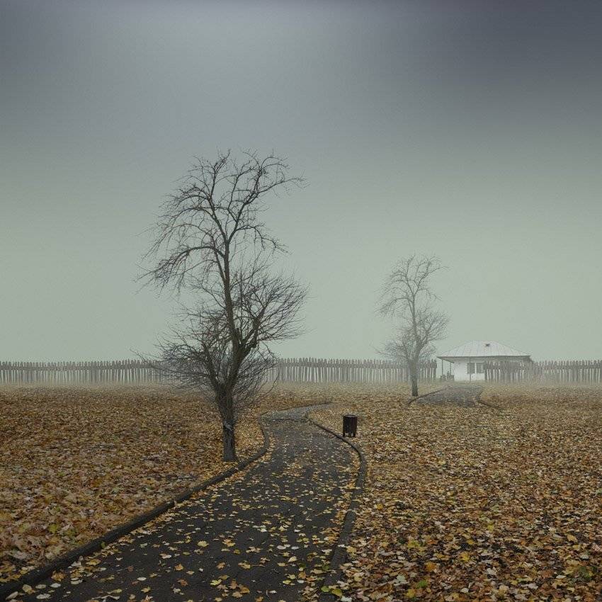 tree, house, leaf, autumn, alleyway, nobody, Caras Ionut