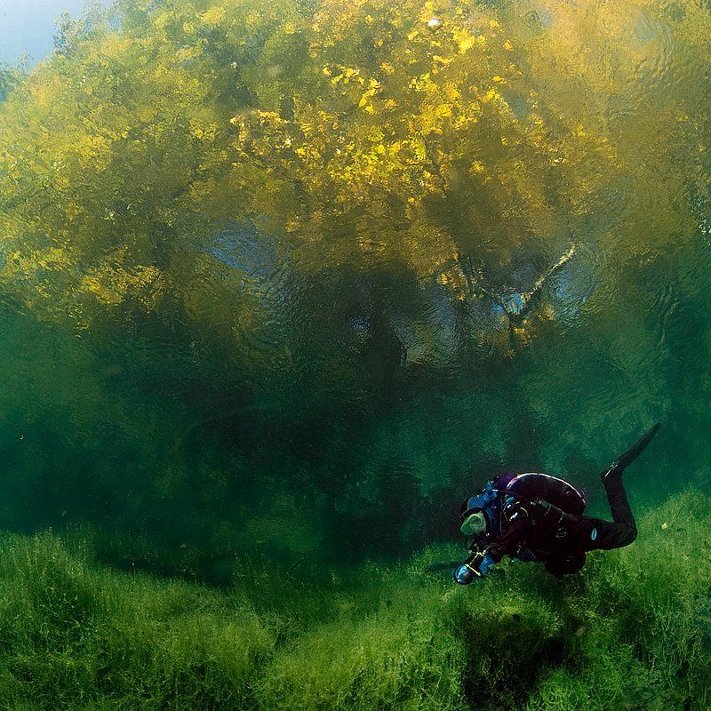 Осень фото превью