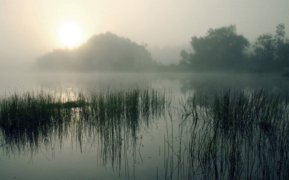 , Николай Морский