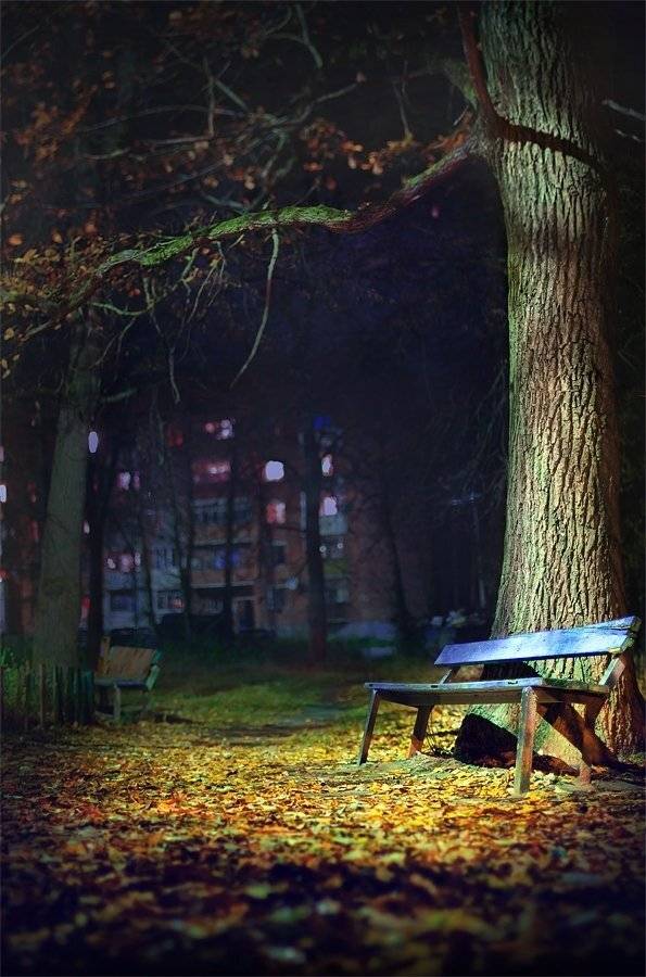 , Сергей Зимин