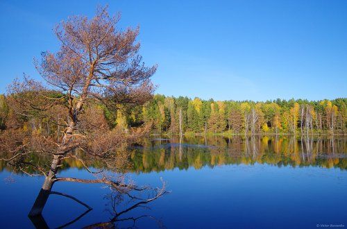 Осенние пруды