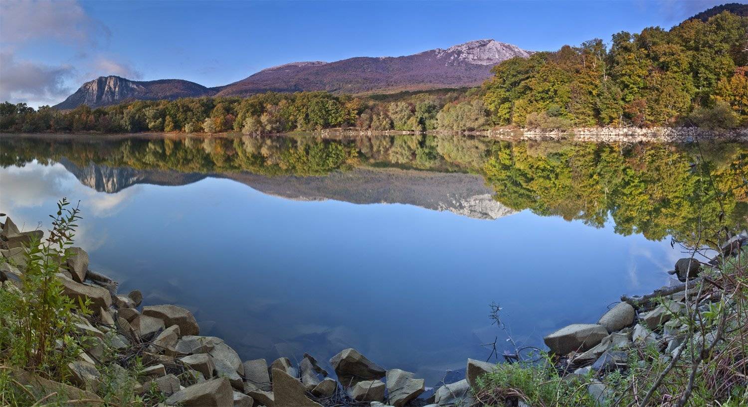 , Станислав Савицкий