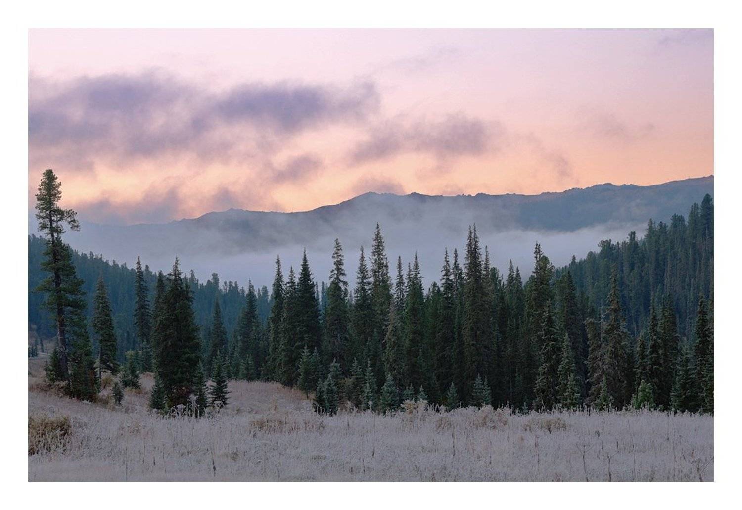 , Евгений strannik521