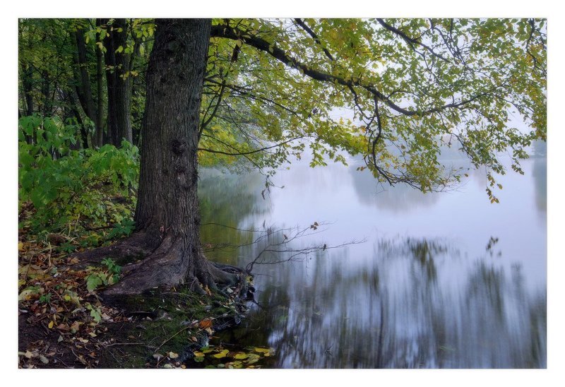 минск, туман, октябрь --- фото превью