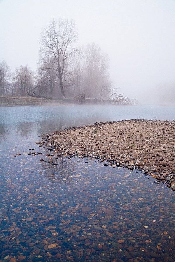 , Сергей Белявцев