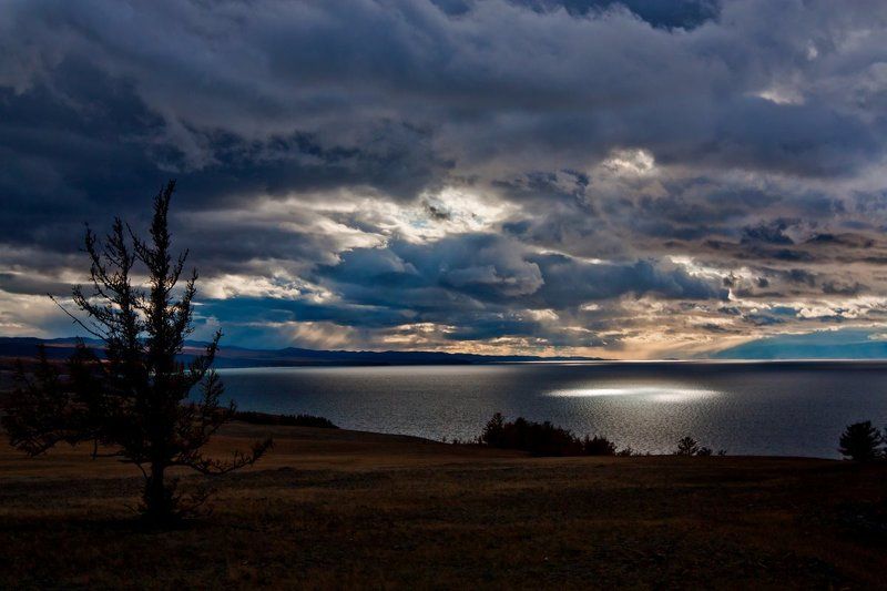 байкал, ольхон Ольхонские зайчики фото превью