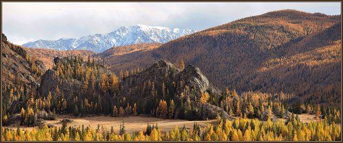 Чуйские фрагменты