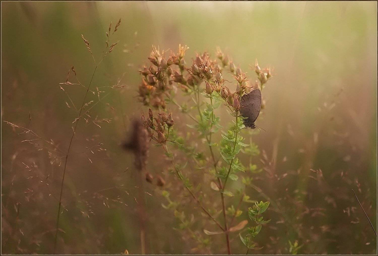 , Евгений Кирилкин.
