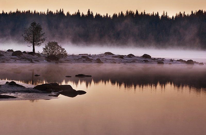 * фото превью