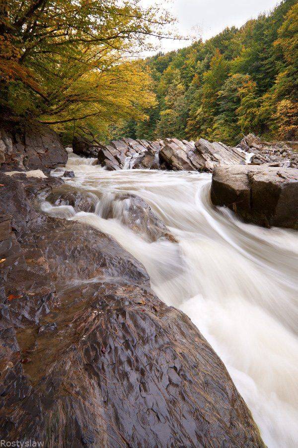 ростислав, макро, 10-22мм, Ростислав