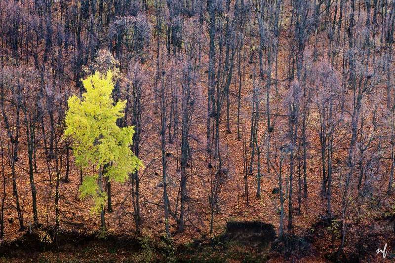 Жить вопреки фото превью