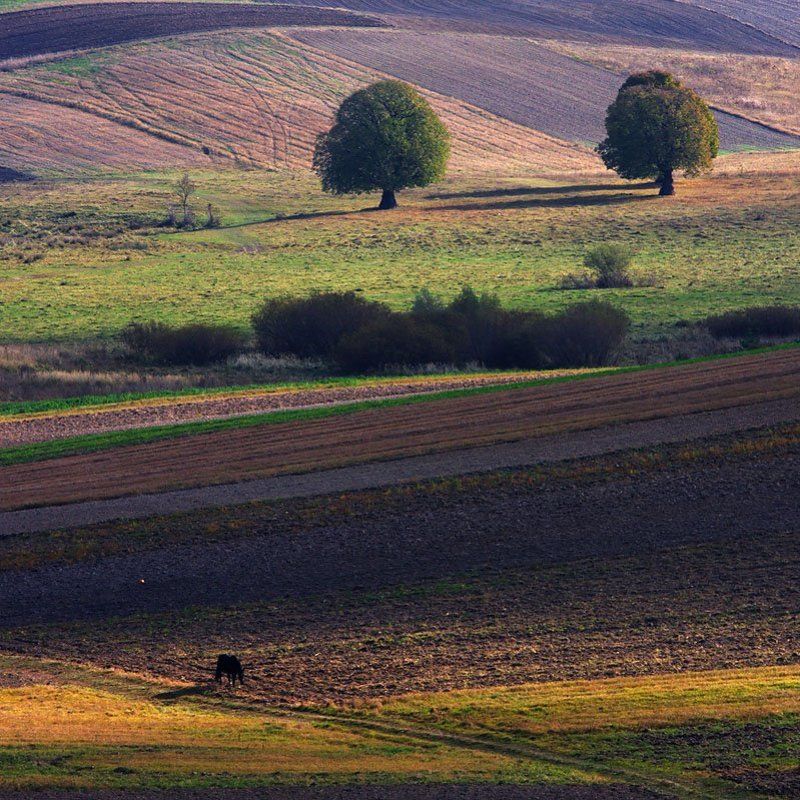 волынь ** фото превью