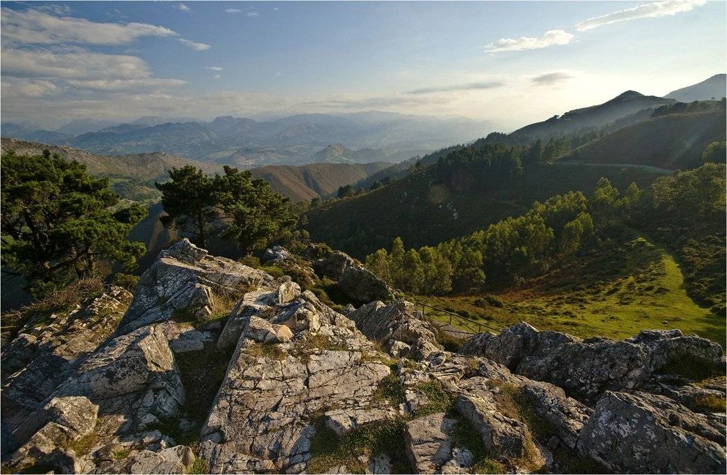 , Сергей Гаспарян