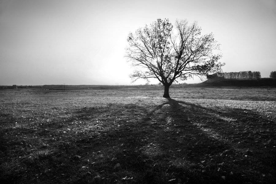 , Эдуард VTORNIK  Николаев