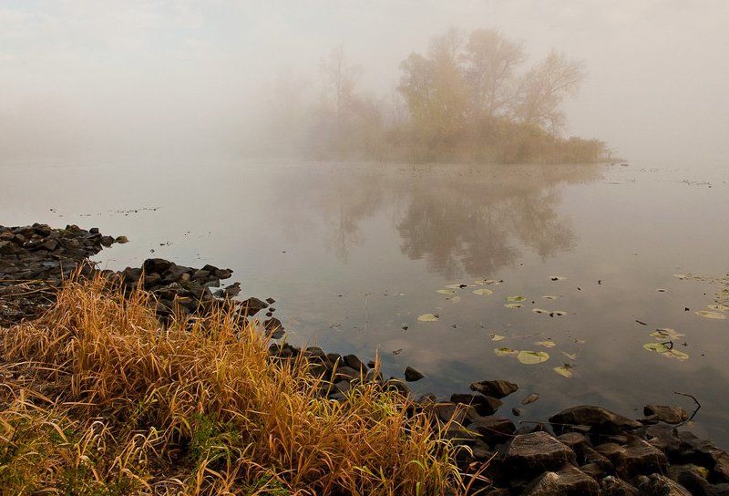 киев,гидропарк,осень,туман,утро, Осеннее утро фото превью