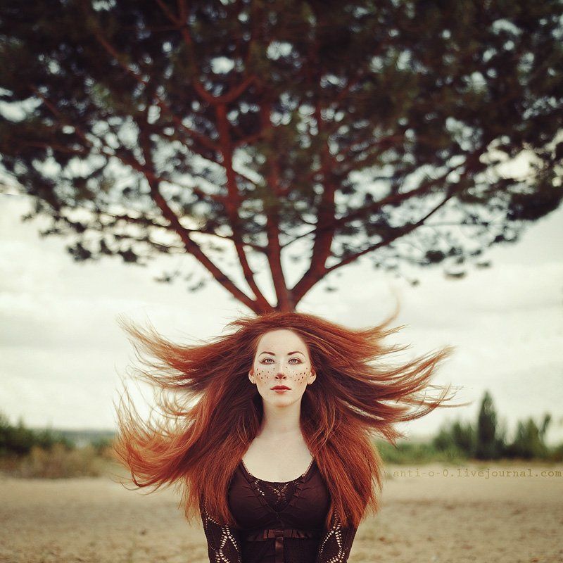 My deer фото превью