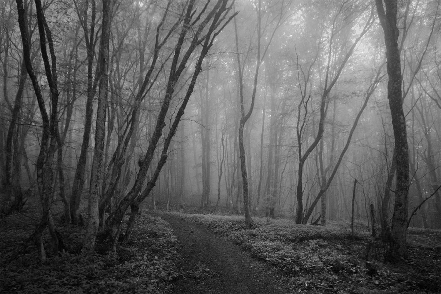 , Протопопова Вера