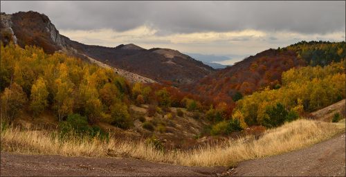 Охра крымской осени