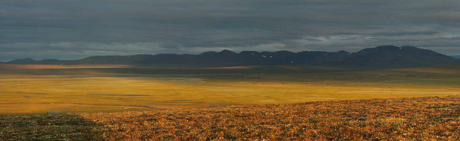 россия чукотка, лето, сопки, небо, облака, тундра, свет, пейзаж, природа,, Сергей Шульга