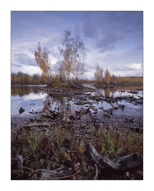 Предзимье фото превью