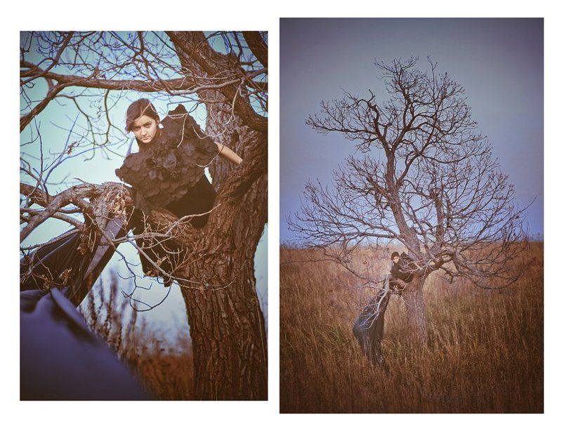 Черная птица фото превью