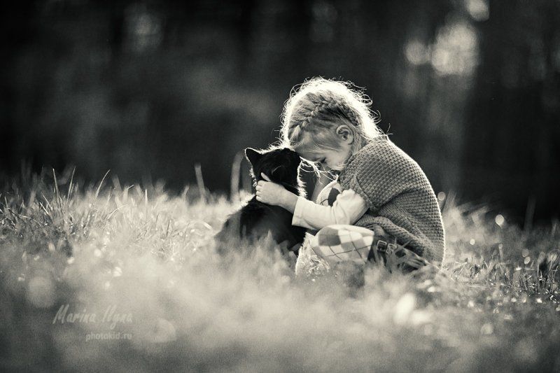 *** фото превью