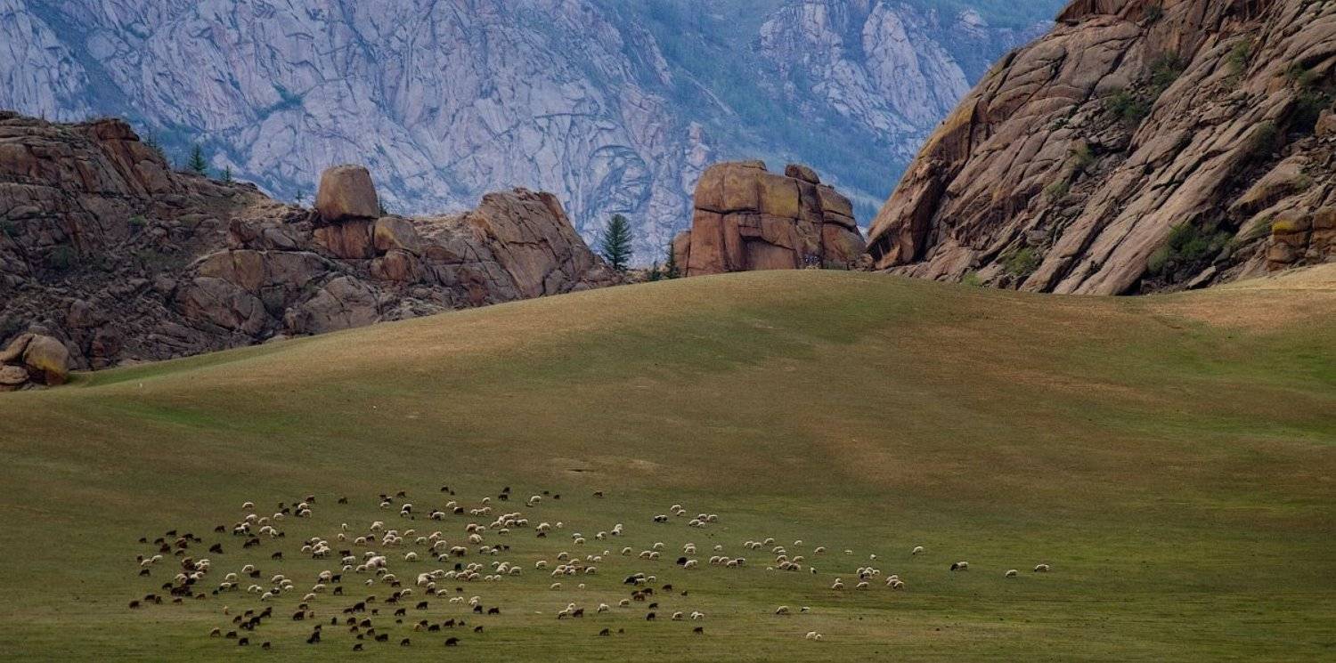 монголия, горхи-терелж  gorkhi-terelj national park, mongolia., anikban