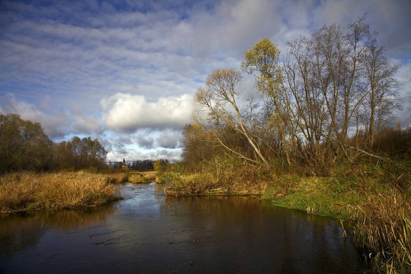 , СПИРИДОНОВ НИКОЛАЙ