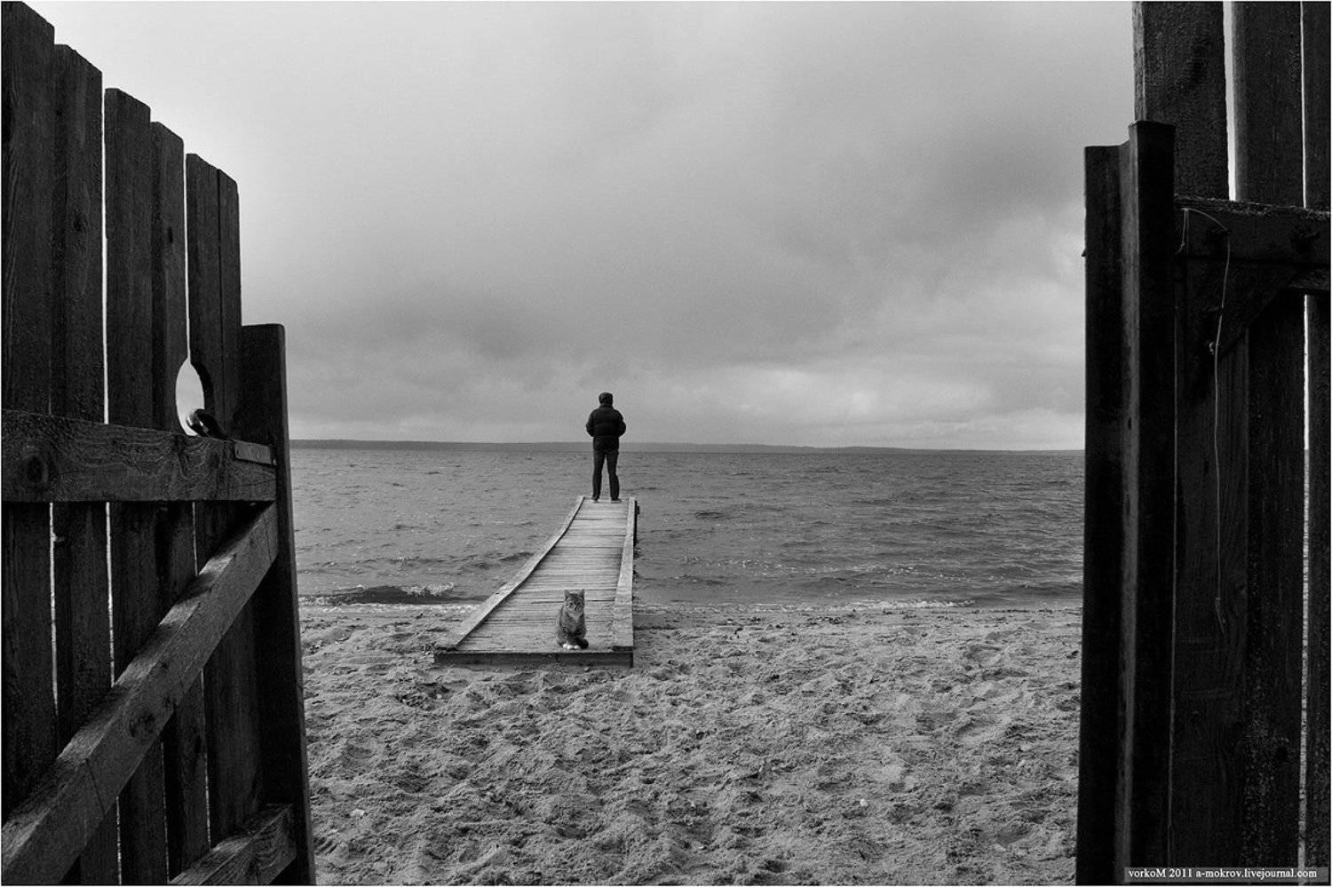 , Александр Мокров