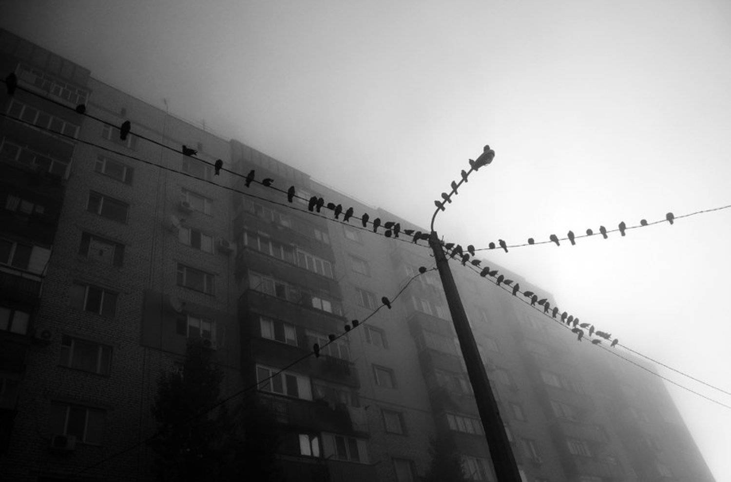 , Андрей Рублевик