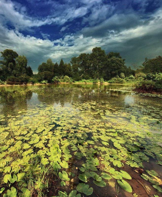 Ещё не всё про лето рассказали... :-) фото превью