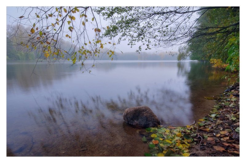 минск, туман --- фото превью