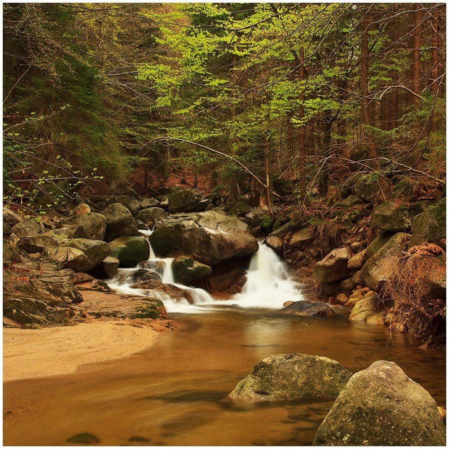 природа, пейзаж, лес, река, камни, листва, Oleg Dmitriev
