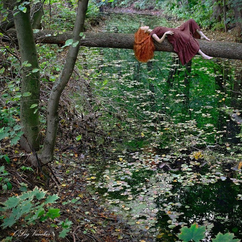 милая Гостья фото превью