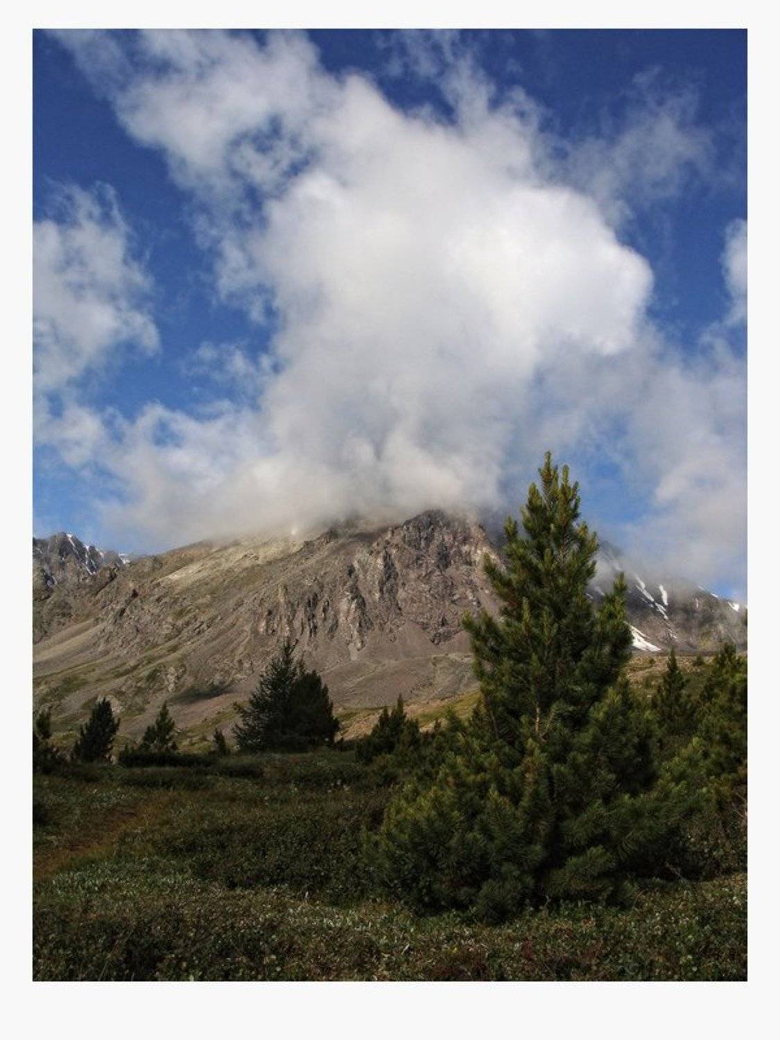 , Галина Хвостенко