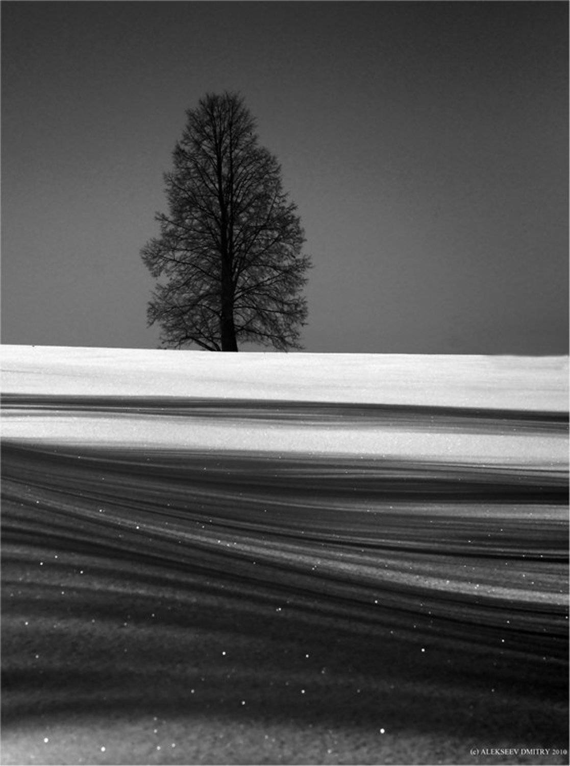 , Дмитрий Алексеев