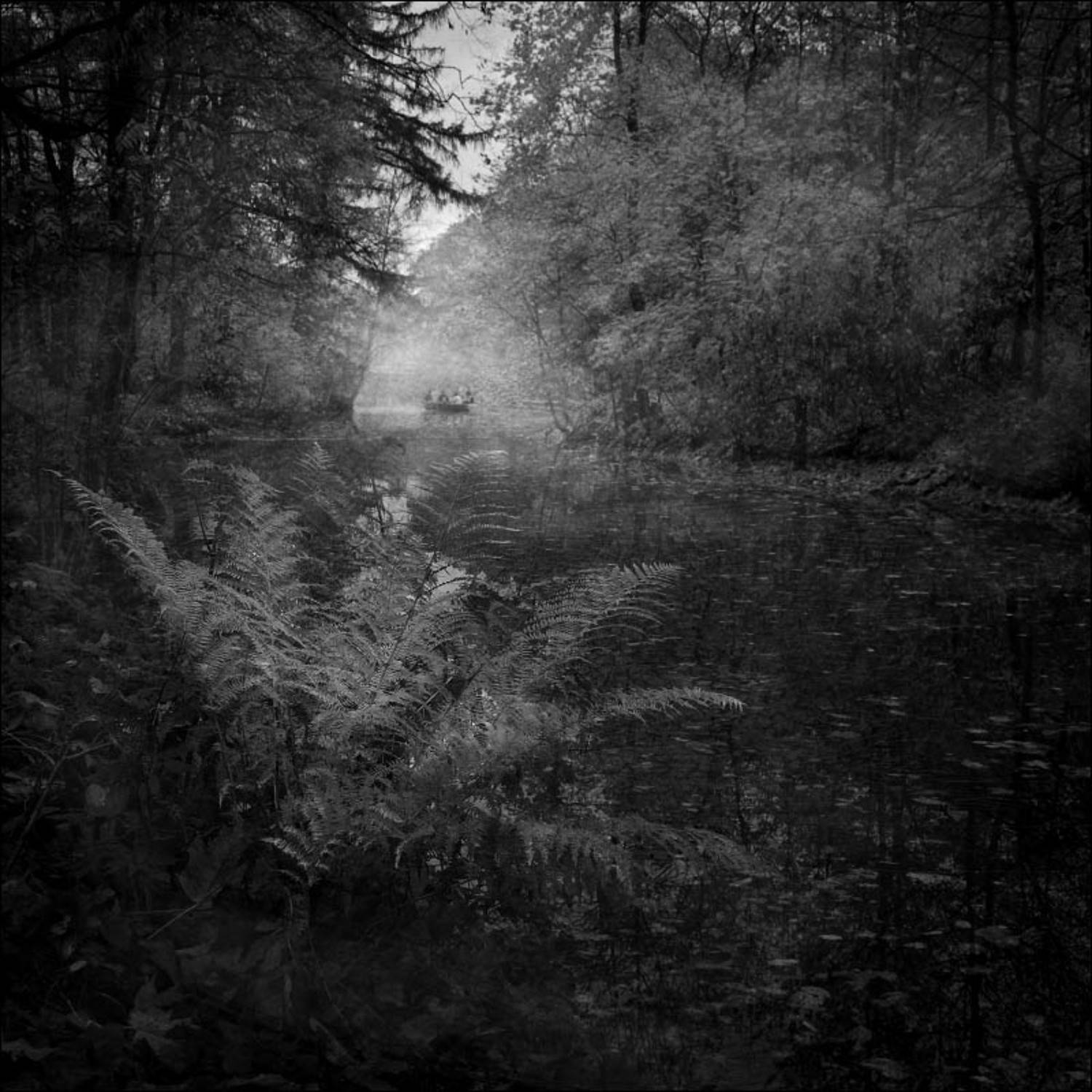 с.петербург, елагин, остров, осень, Vladimir Markov