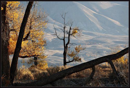 Чуйские фрагменты. Кызыл-Чин