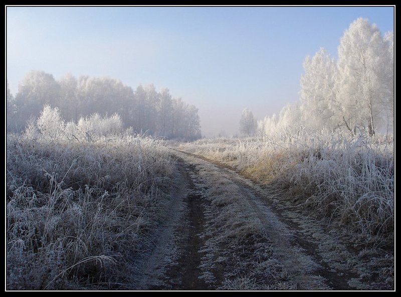 Утро. фото превью