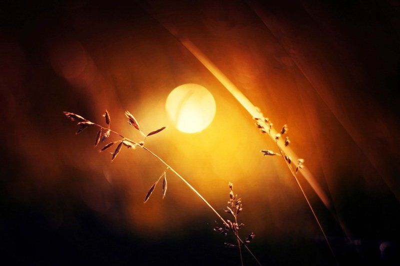 Закат фото превью