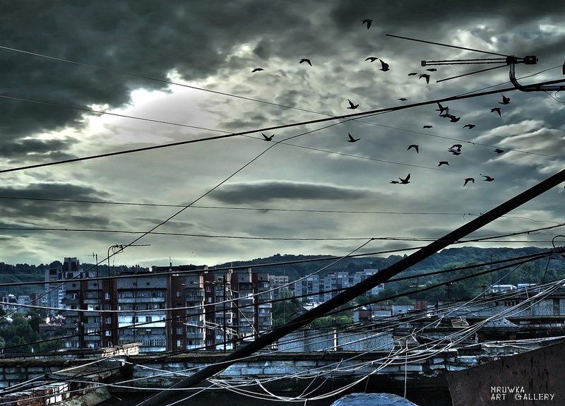 Львов фото превью