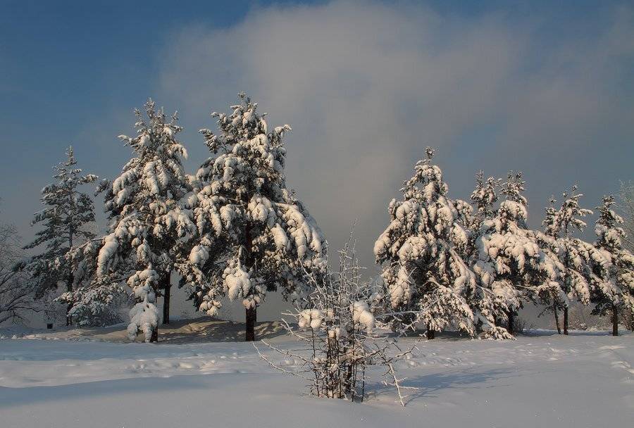река, берег, , ангара, декабрь, Николай Морский
