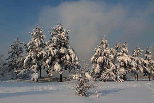 На берегу зимней Ангары