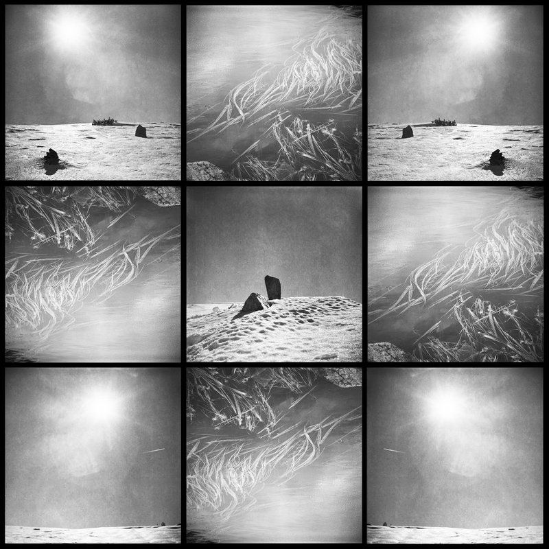 butterflies and snow фото превью