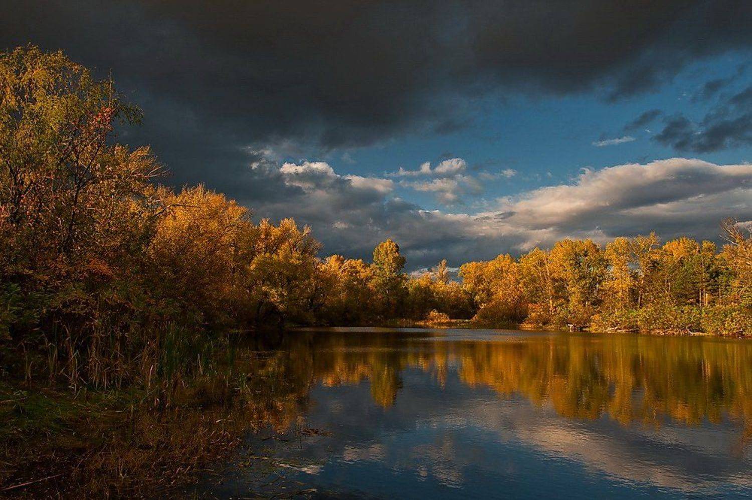 осень,киев,труханов остров,озеро,, Elena