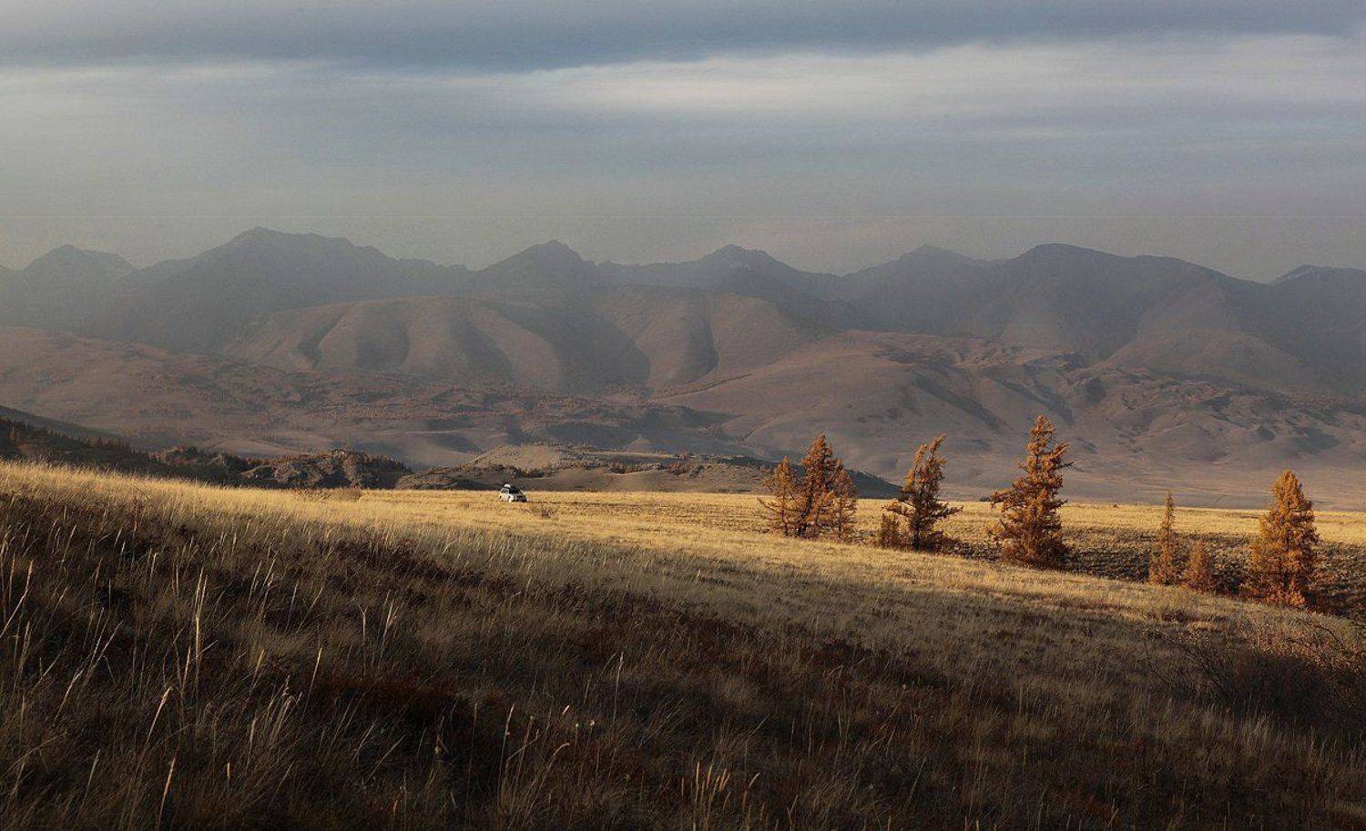 алтай, актру, Бур