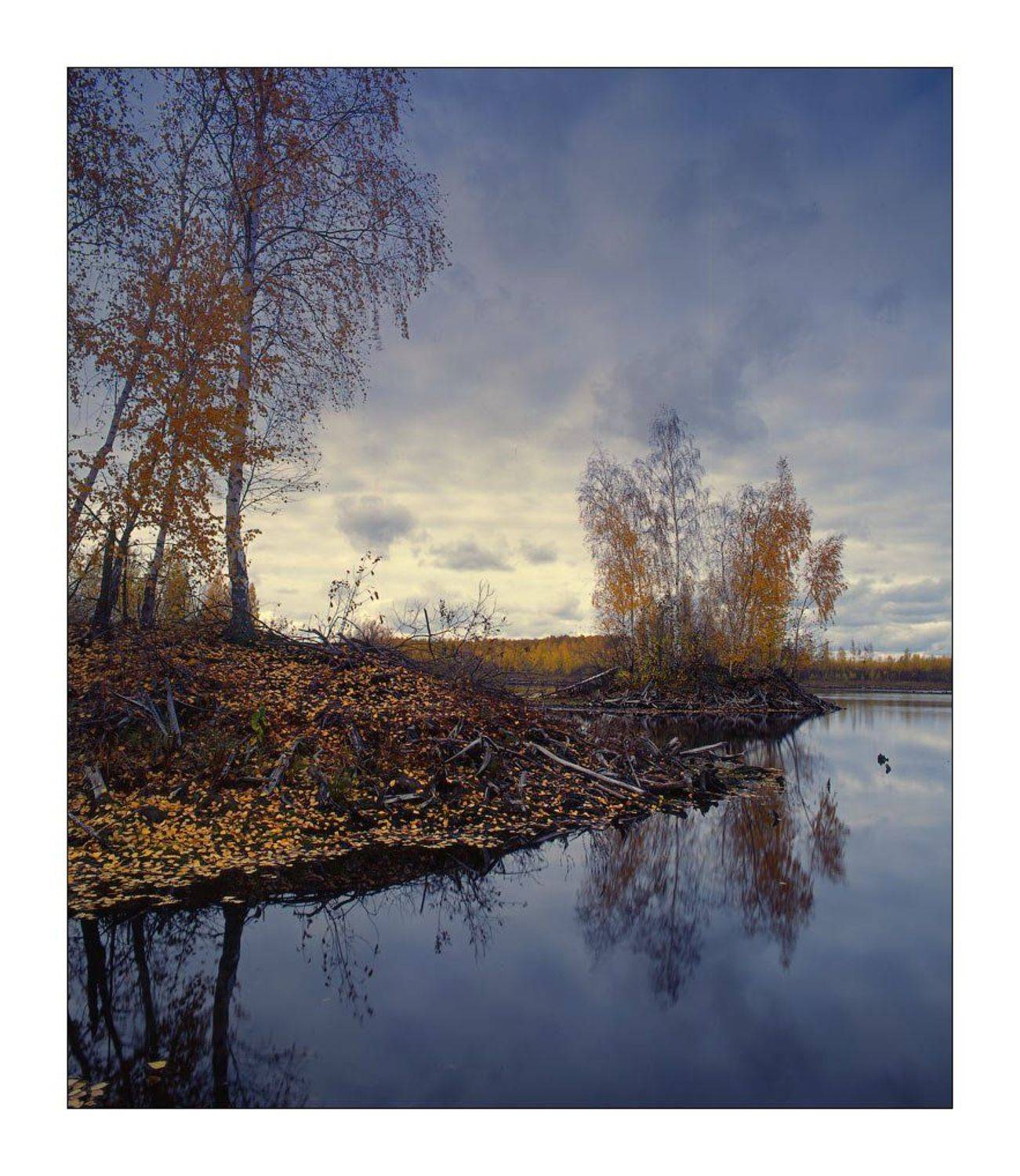 mformat, Дима Лялин